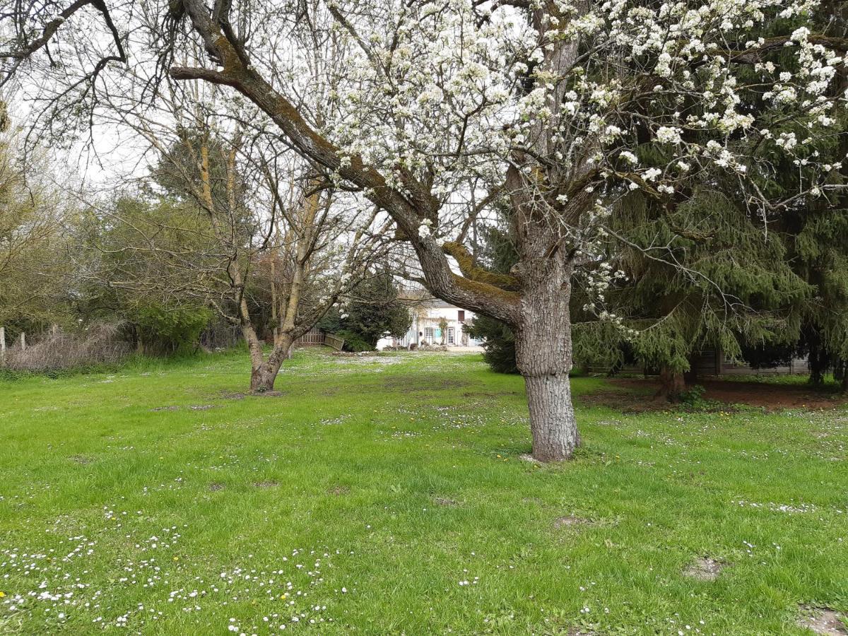 Au Charme De L'Eure Villiers-le-Morhier Exterior foto